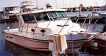 1998 27.9' Sport Craft sportfish